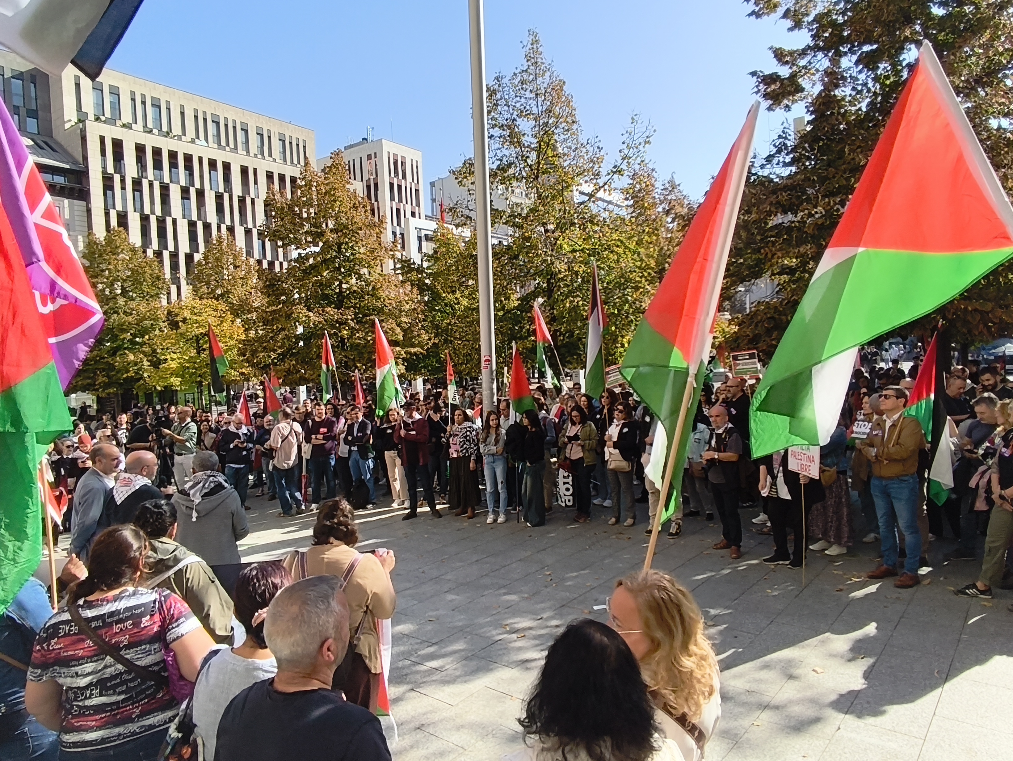 Concentración Palestina